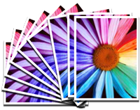 figital, printing, business cards, medford