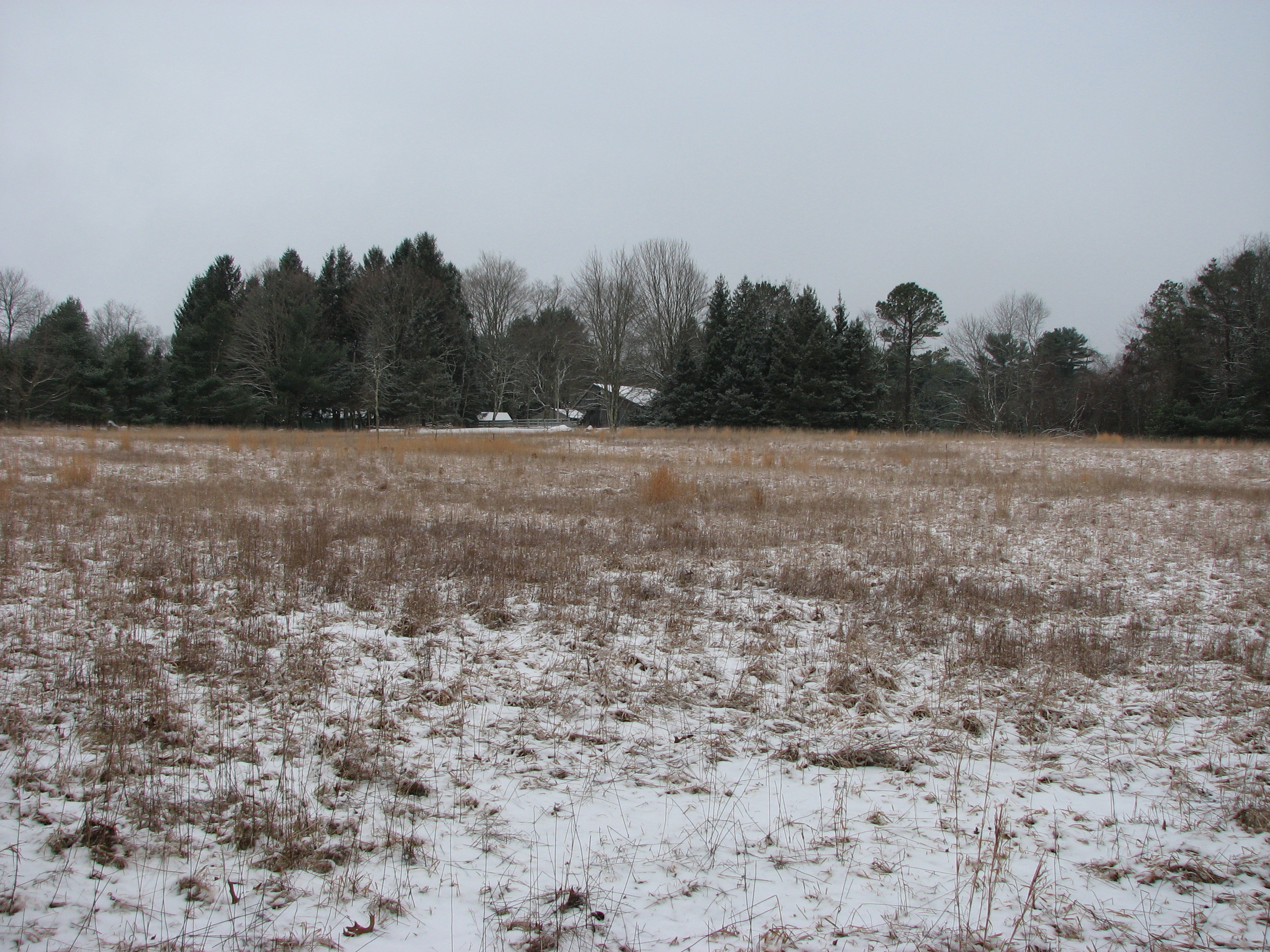 Maxwell Mays Wildlife Refuge