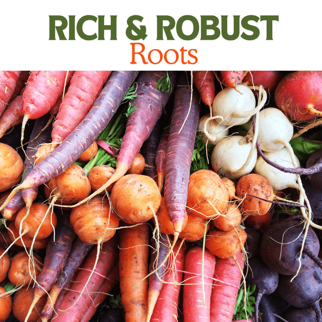 Various root vegetables on display