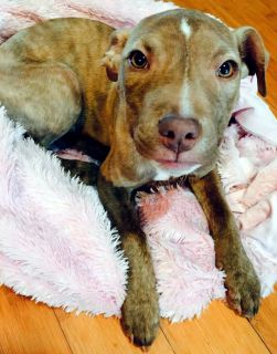 Mary Lou - ADOPTED