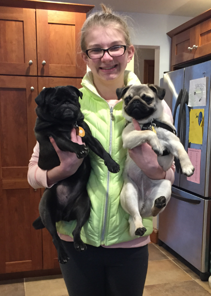 Bella holding two pugs, a black pug and a tan pug.