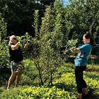 Kolter Elementary Grassroom Garden