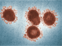 Disability Rights Nebraska's initial response to coronavirus pandemic