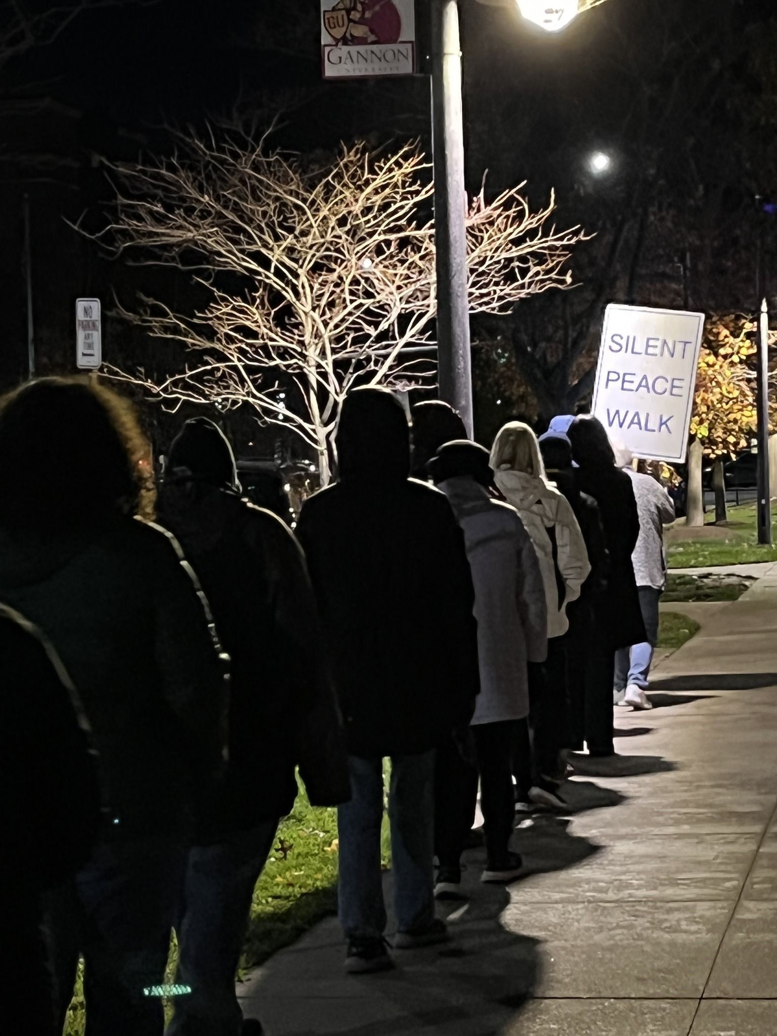 Silent Peace Walk for Peace on Earth