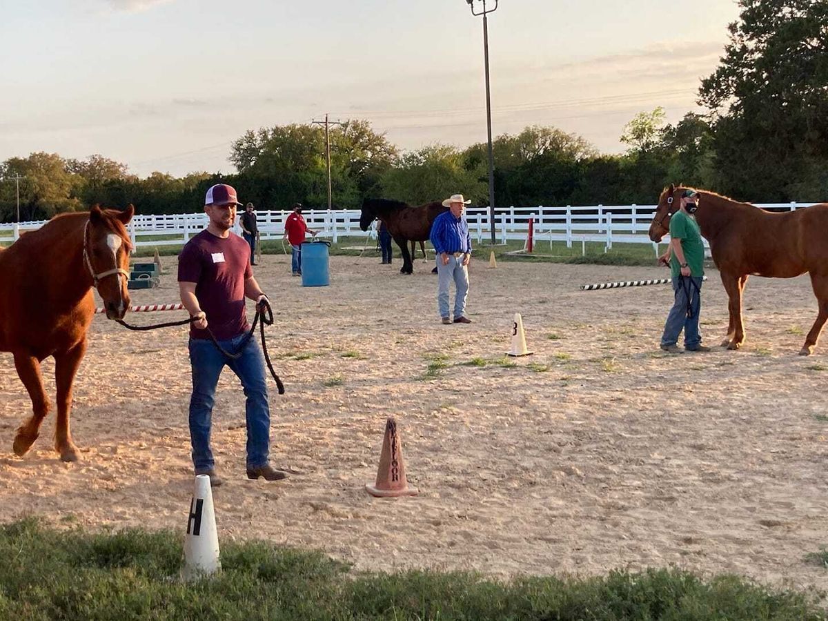 Therapeutic Horseback Riding for Individuals with Autism, Disabilities