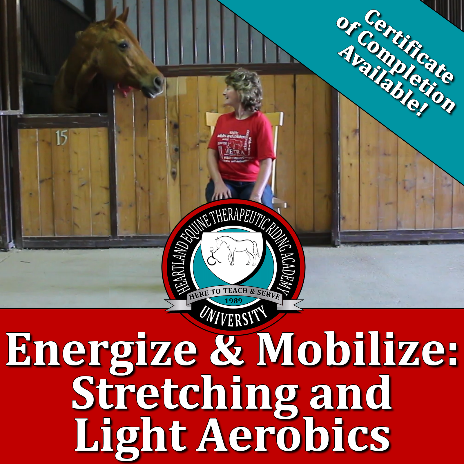 Energize & Mobilize - stretching & light aerobics