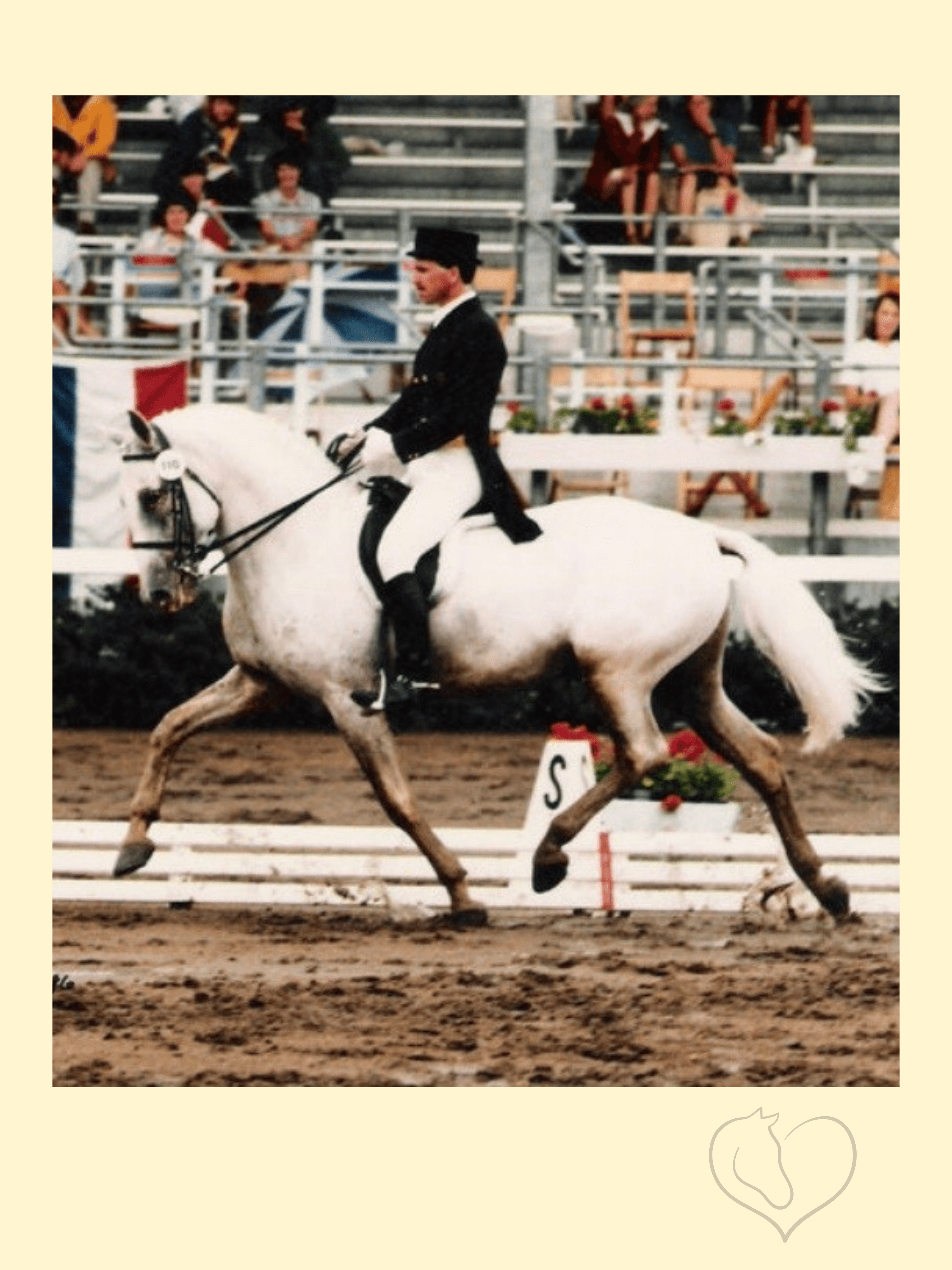 Conversano II Sarissa