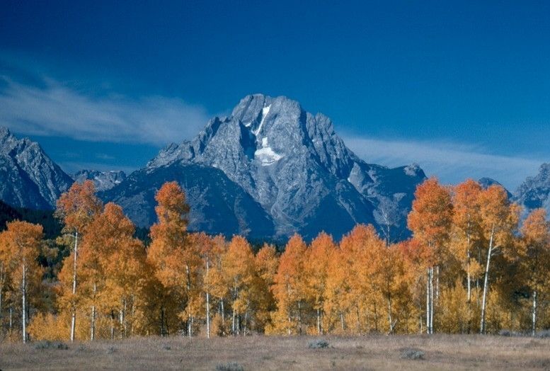 The all-day Field Trip will explore Jackson and Grand Teton National Park