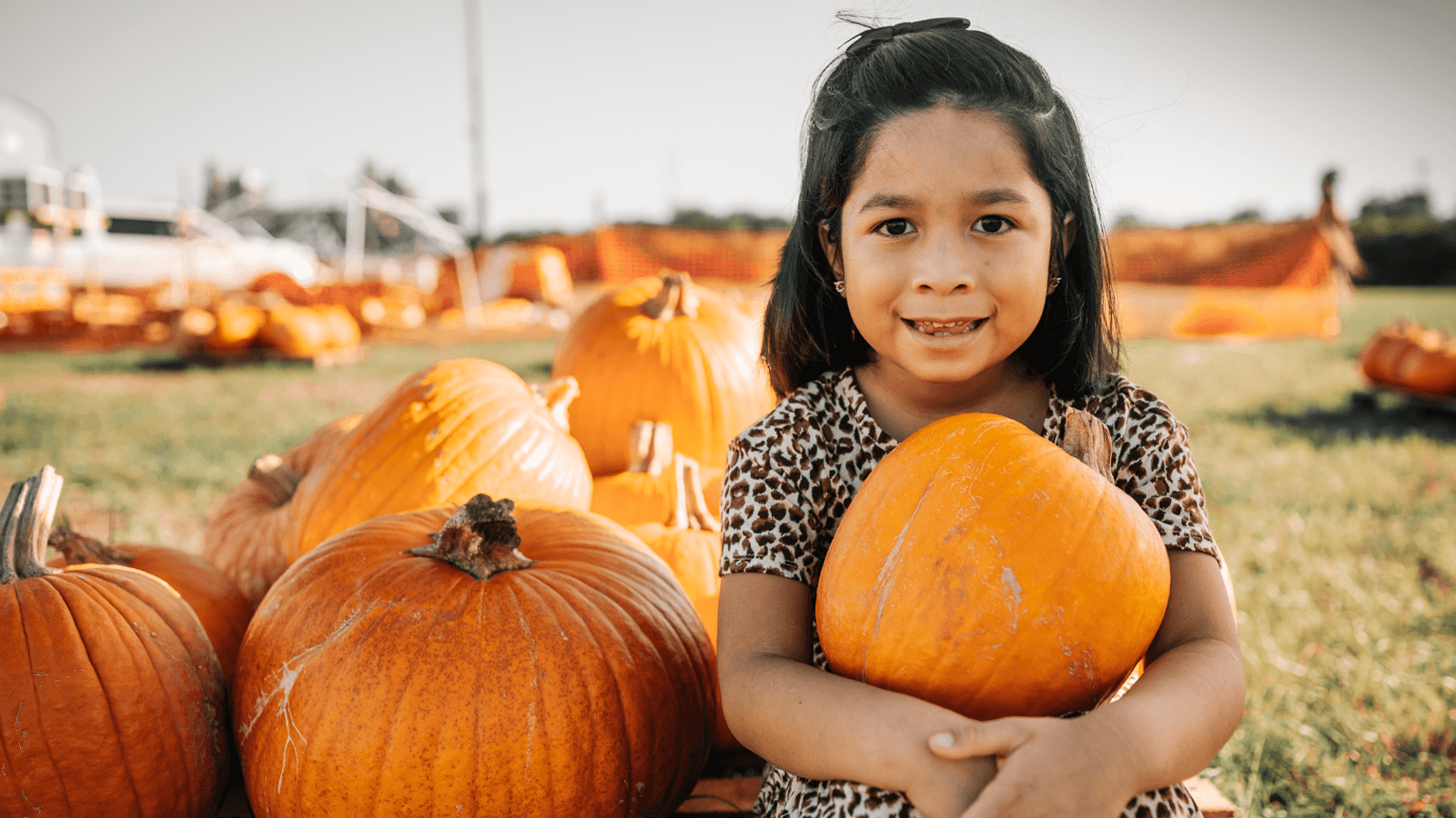 November's #CCDCFact