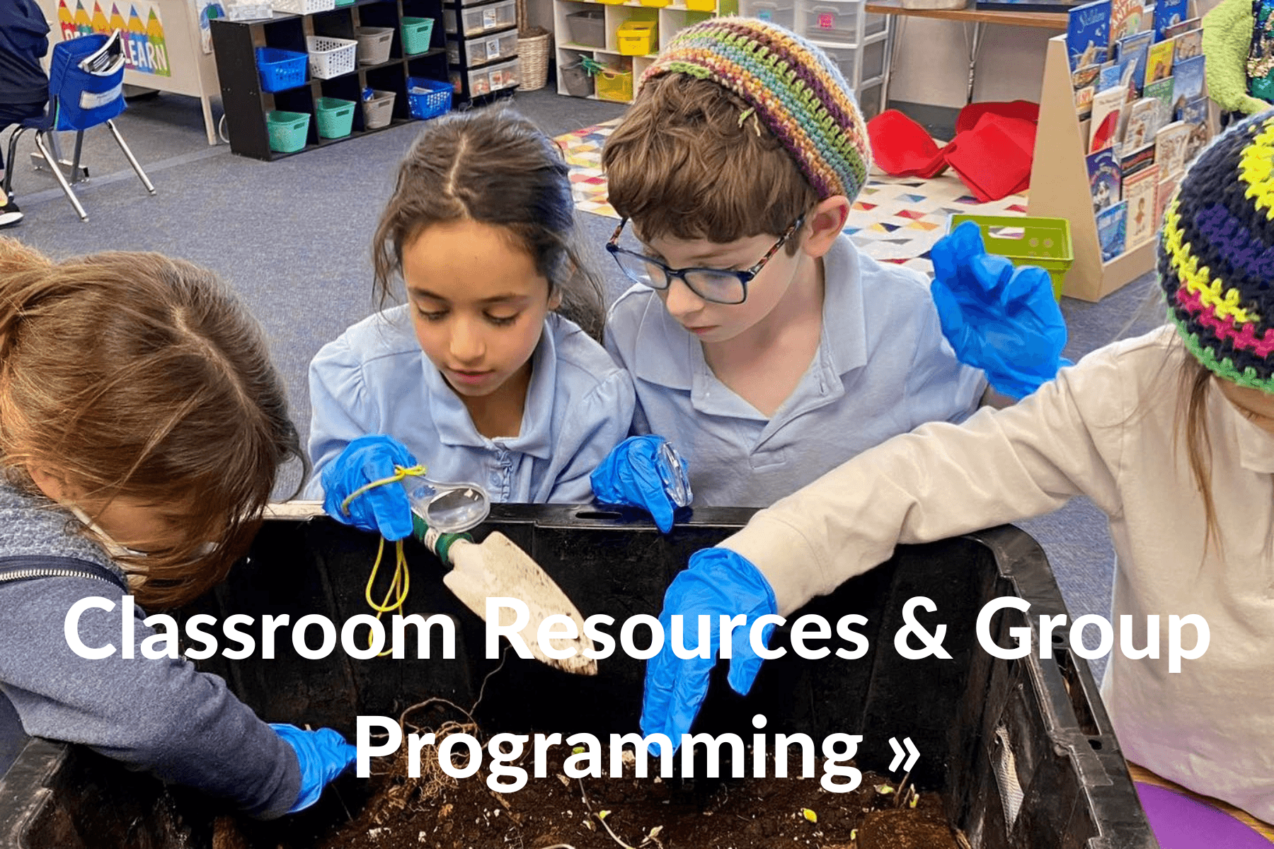 Classroom Resources & Group Programming