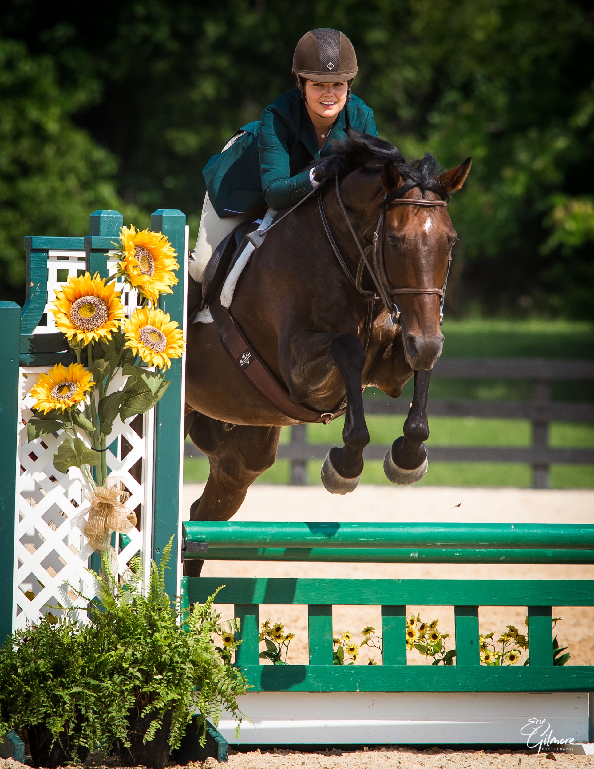 Morven Park presents the 2020 Purcellville Southern States Summer Show Series