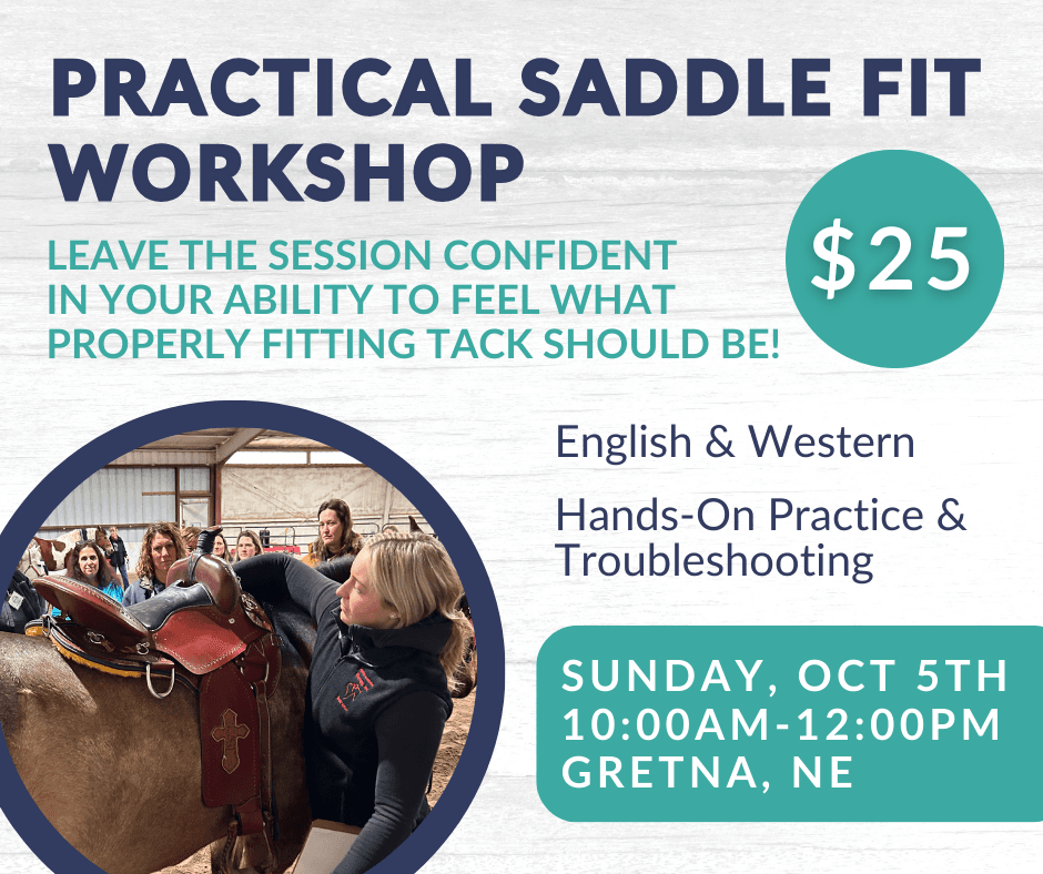 Practical Saddle Fit workshop