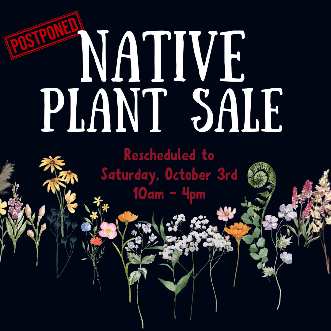 Native Plant Sale