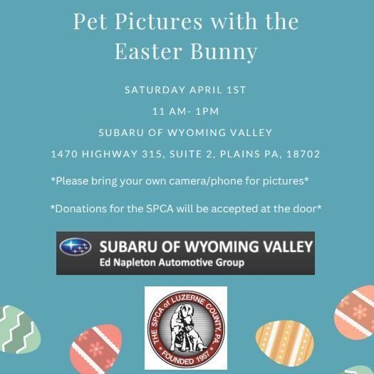 Pet Pictures With The Easter Bunny