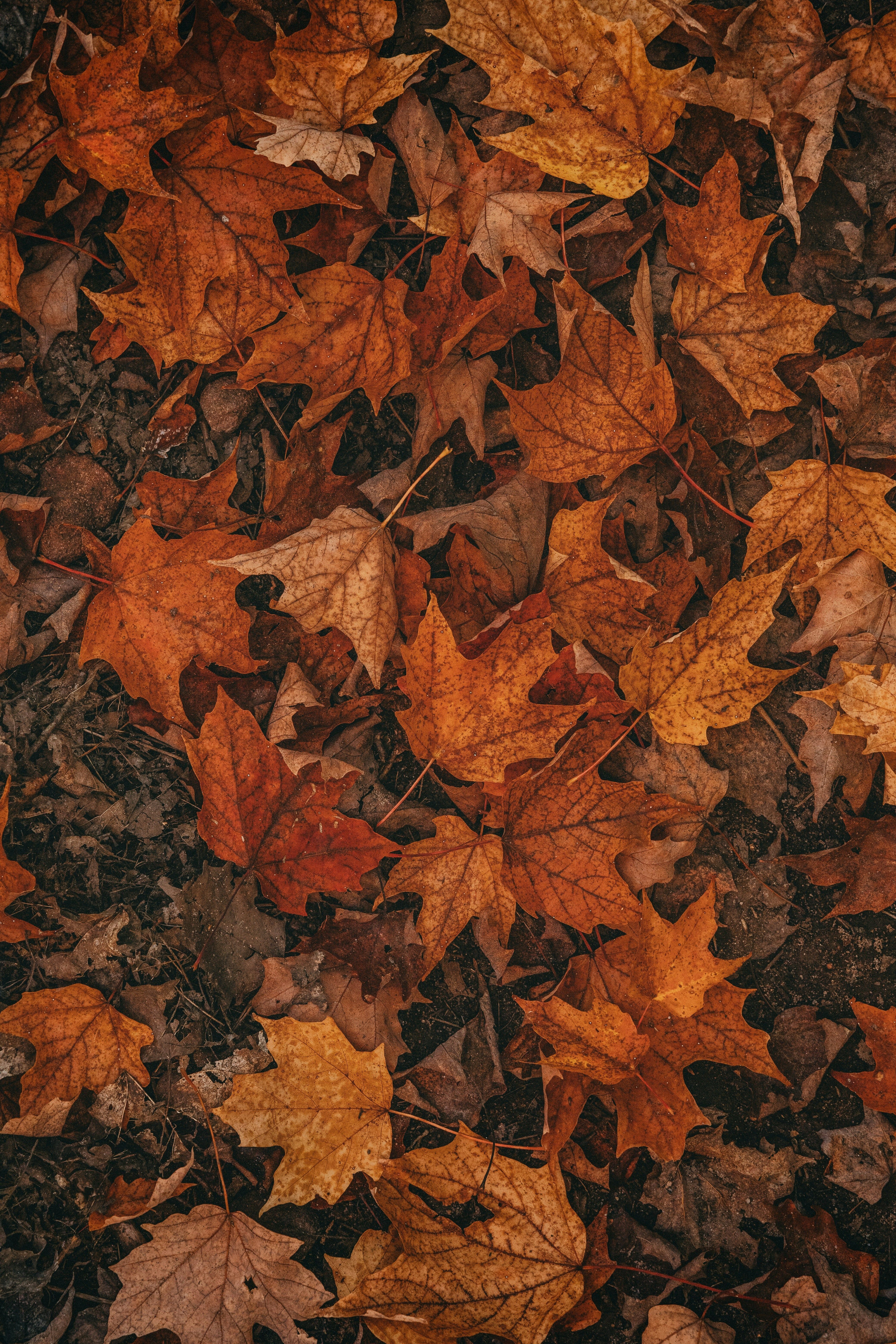 October Newsletter