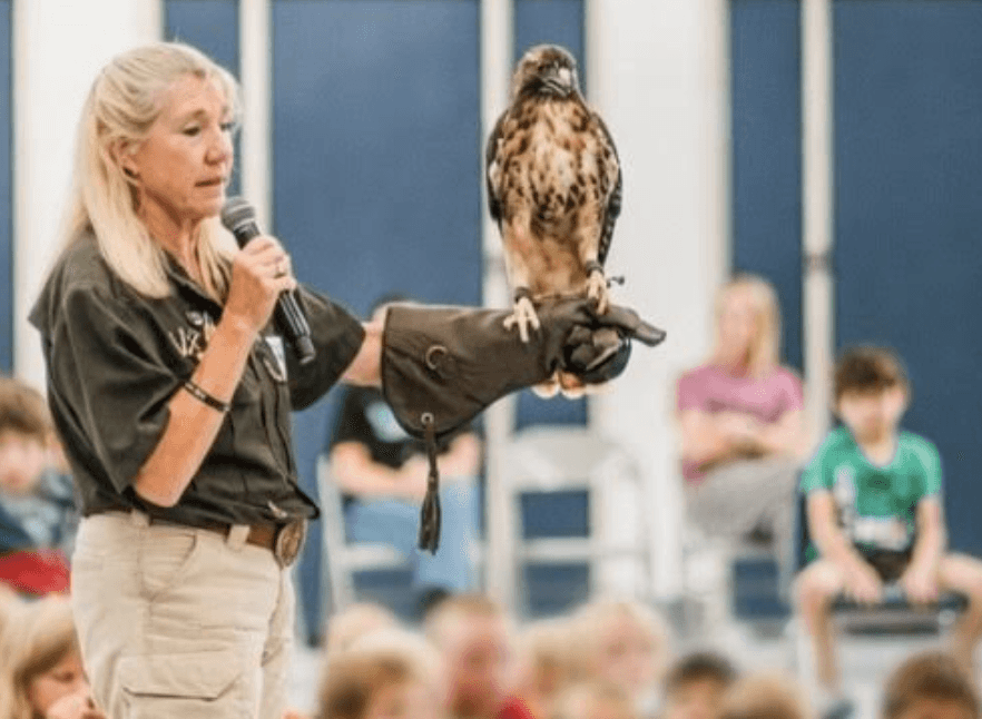 Elevating Student Wellness