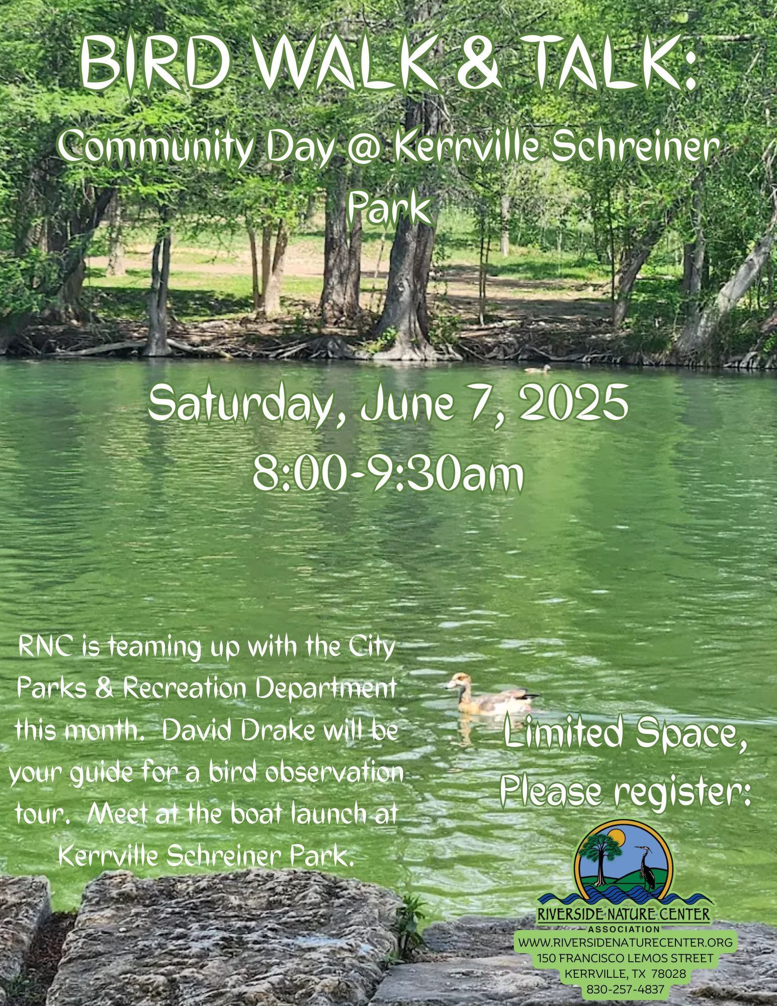 Bird Watching near me, Riverside Nature Center, Texas Master Naturalist, Kerrville, Nature lover, education about birds