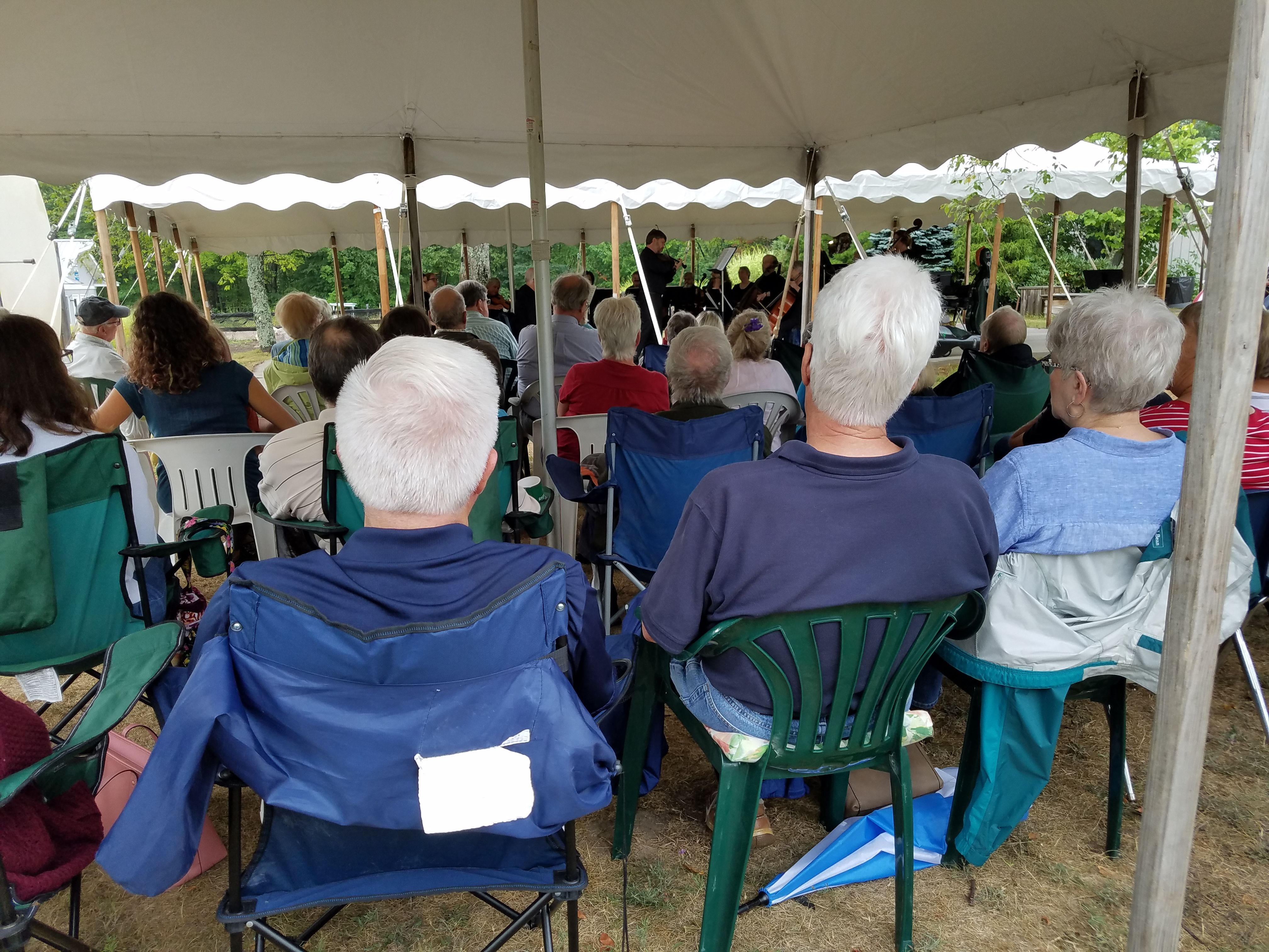 Music with Great Lakes Chamber Orchestra