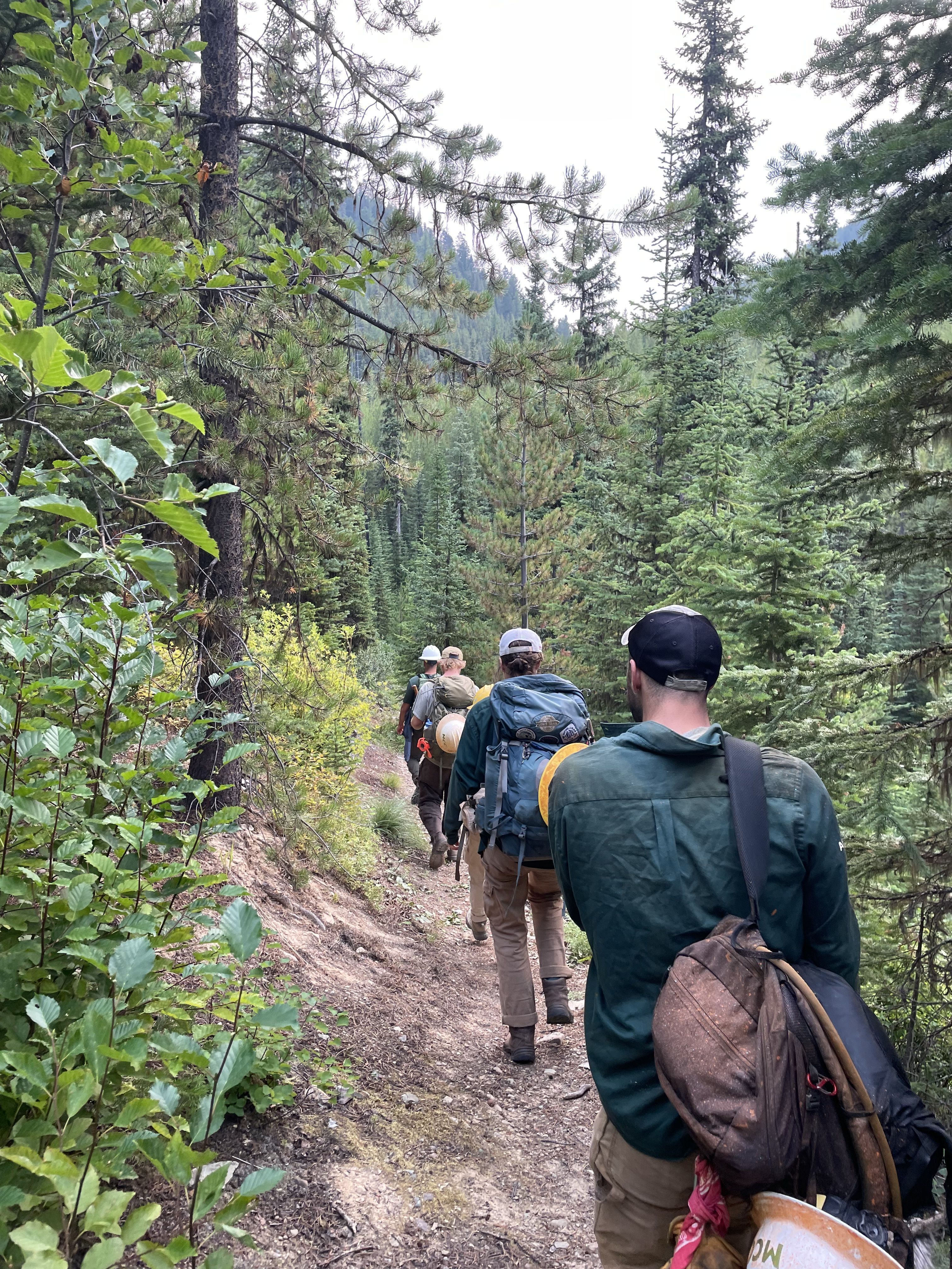 A crew hiking down a trail