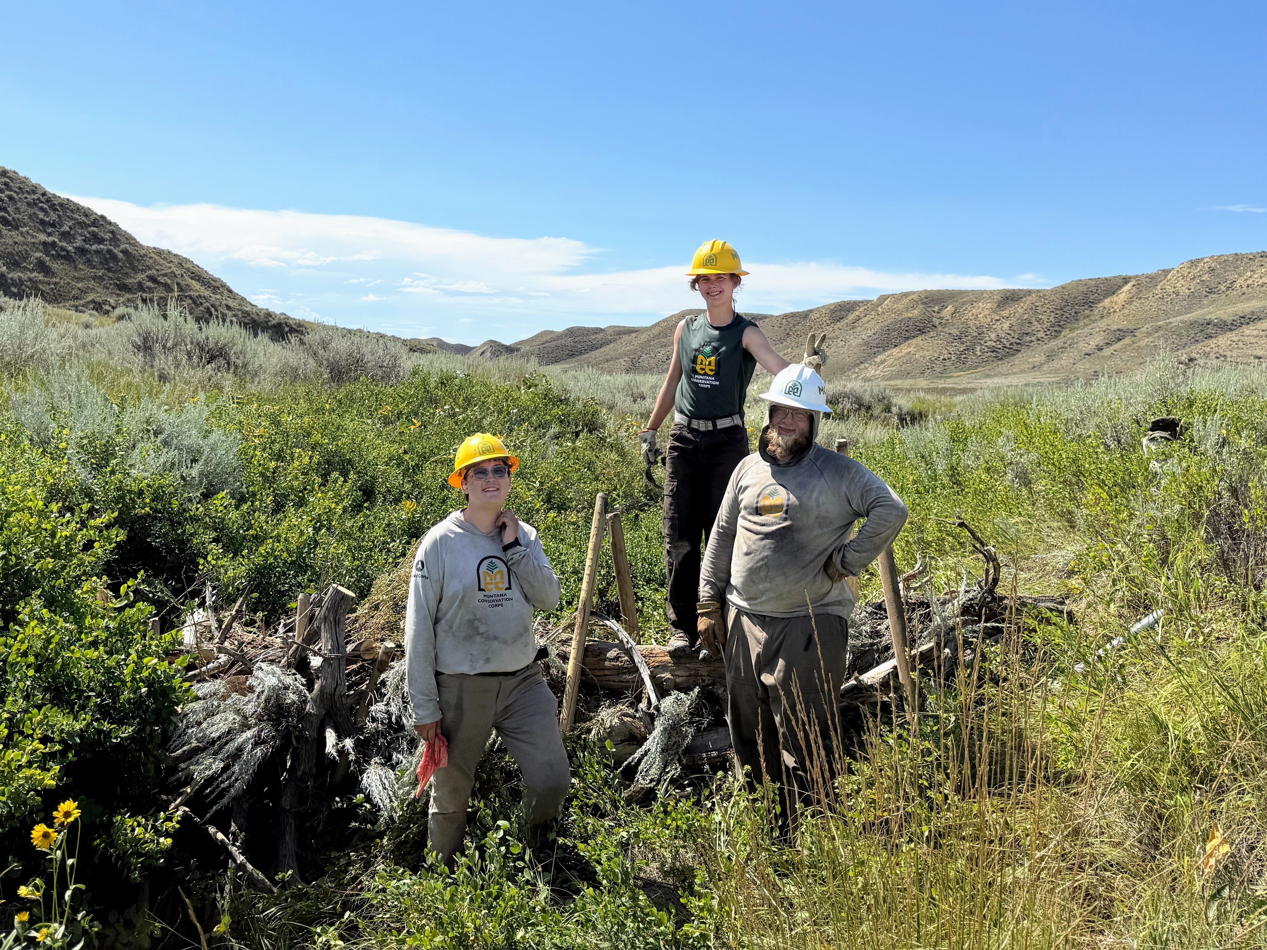 Three crew members stand in a stream with a Beaver Dam Analog that they just constructed.