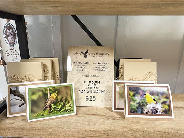 Photo Note Cards