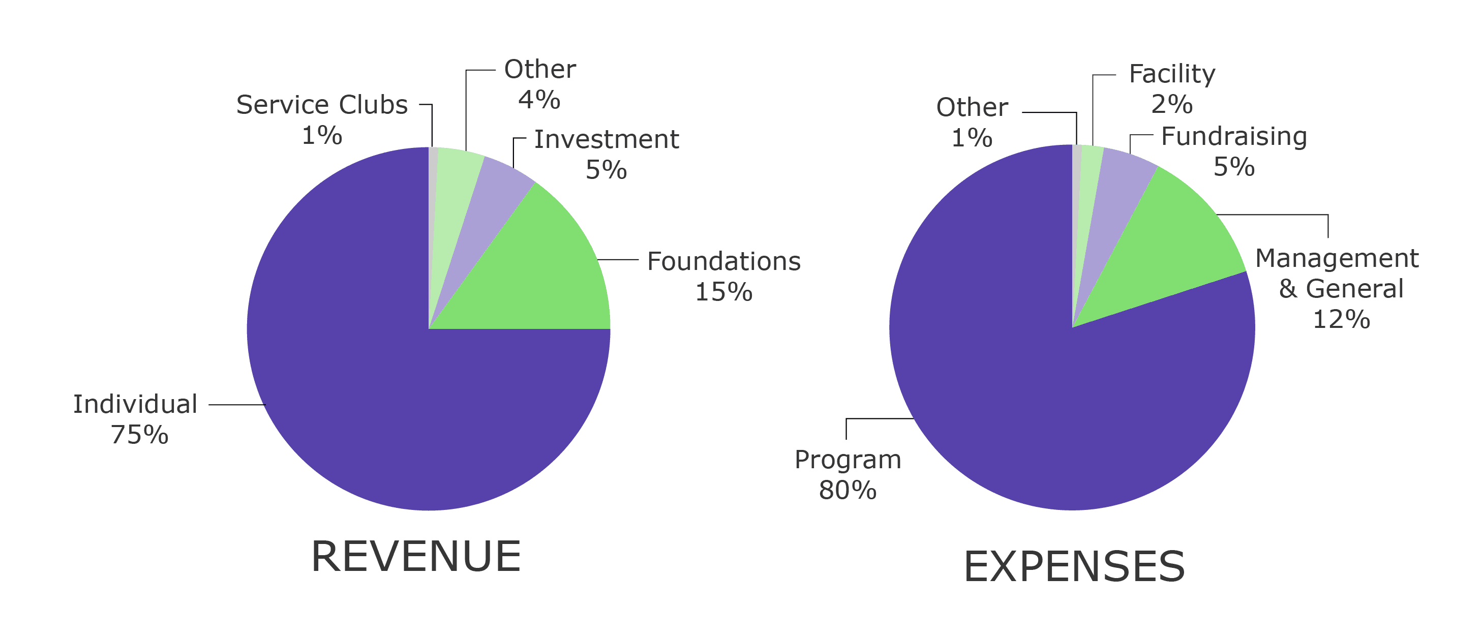 Financial breakdown of revenue and expenses for the 2024-2025 fiscal year.