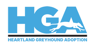 Heartland Greyhound Adoption