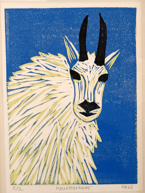 Mountain Goat