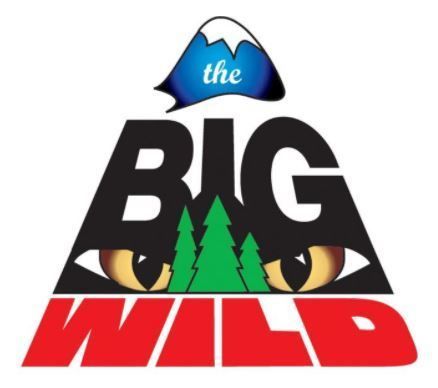 The Big Wild