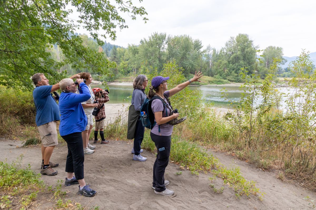 Leavenworth Bird Walk participants viewing an osprey along the Wenatchee River.
