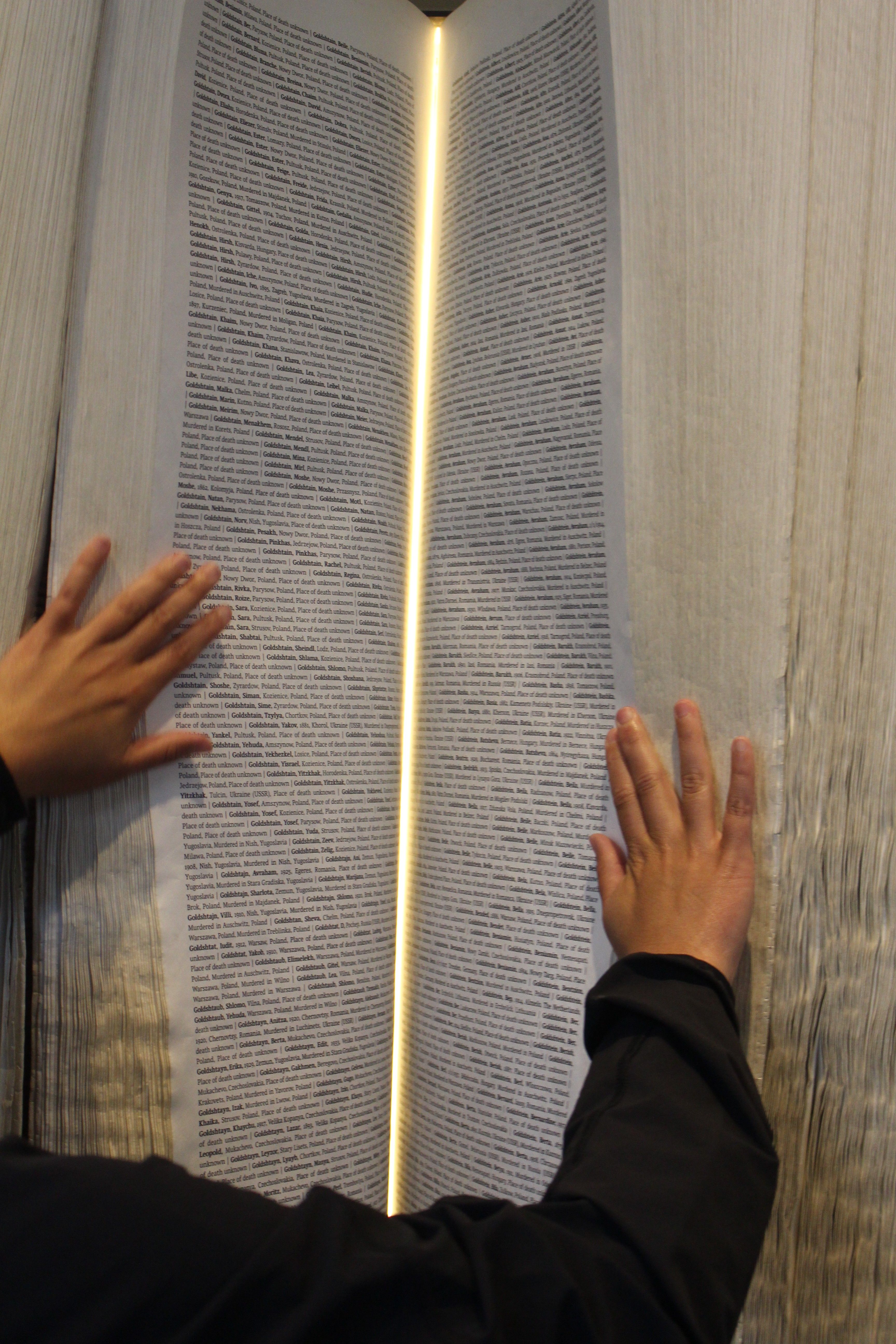 Pages of the Book of Names in Auschwitz I