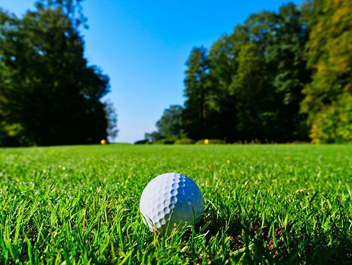 Golf ball on a green course. 