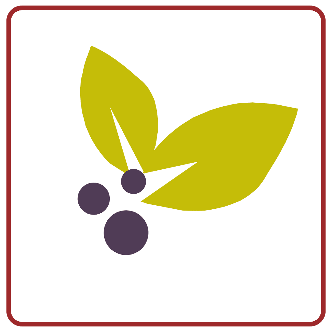 Host a Holiday Drive!