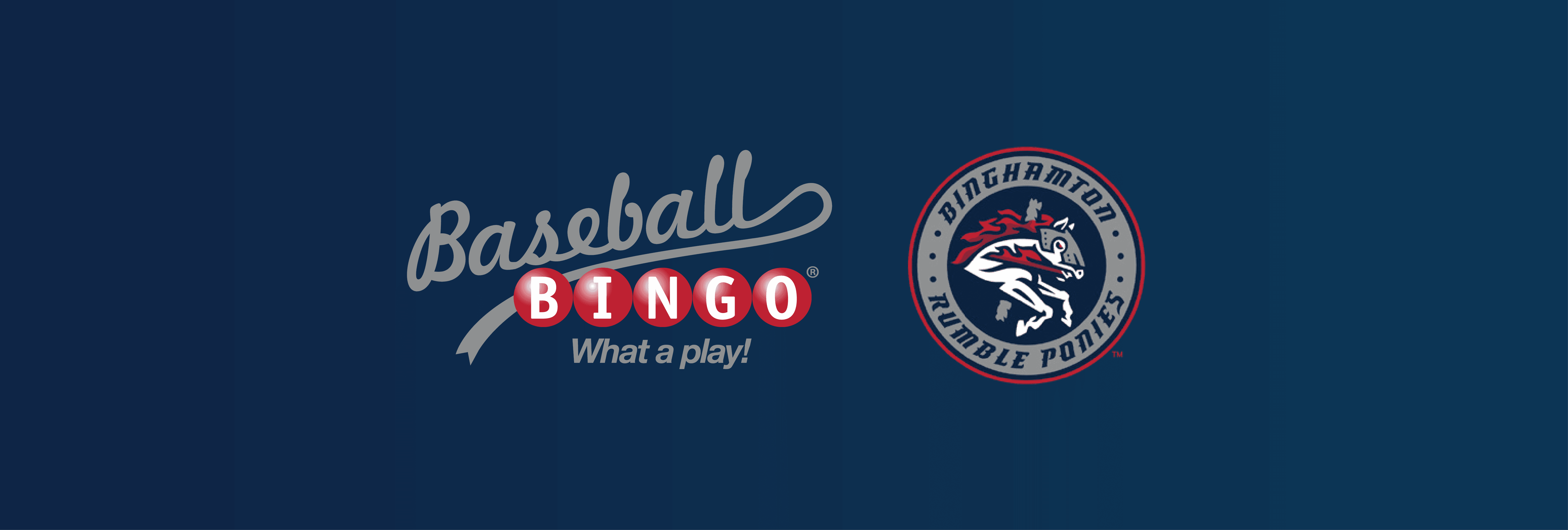 Baseball Bingo with the Binghamton Rumble Ponies