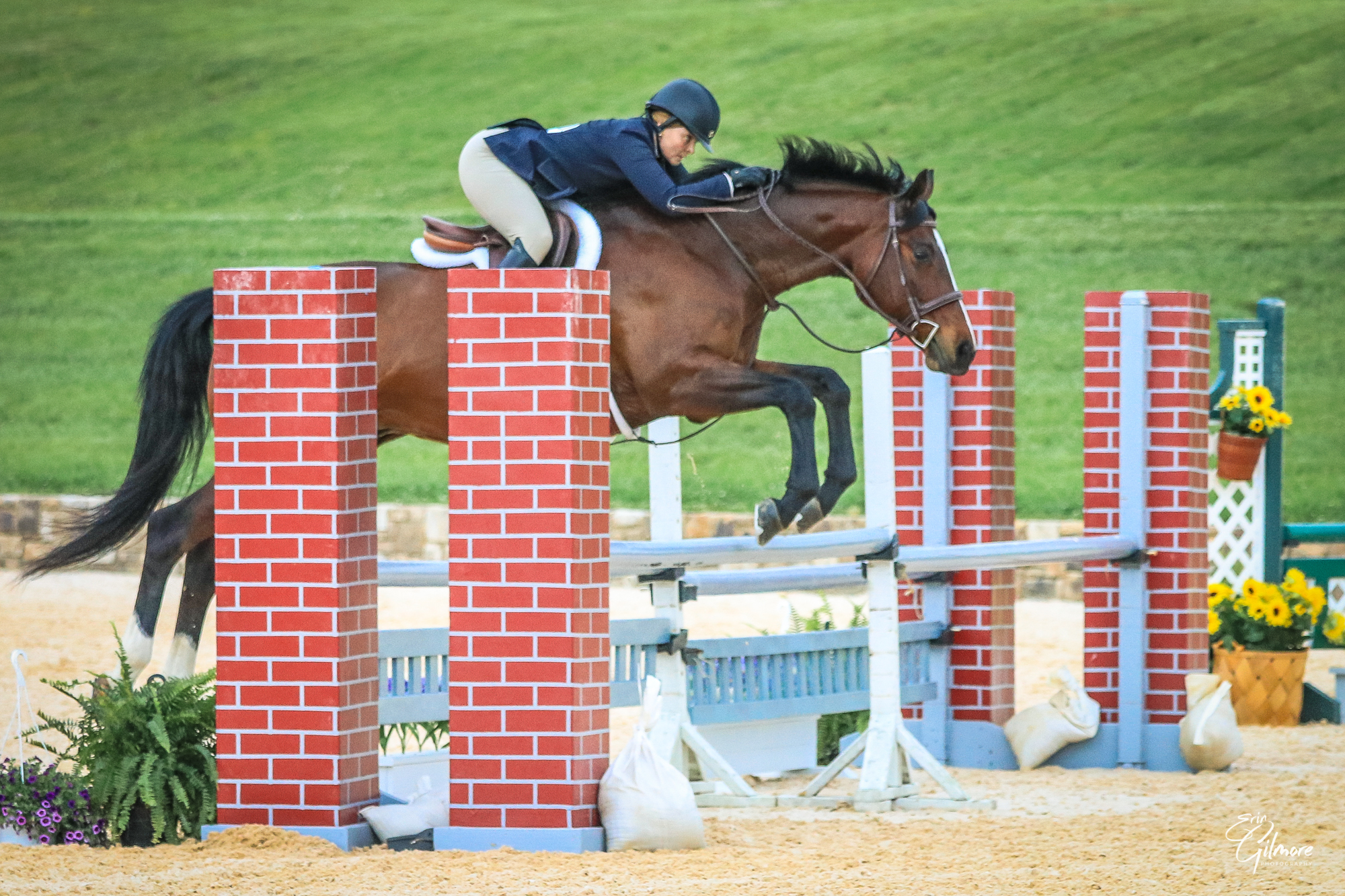 This $100 donation will go towards the floral arrangements and jump decorations at Morven Park’s Summer Show Series and Horse Trials.