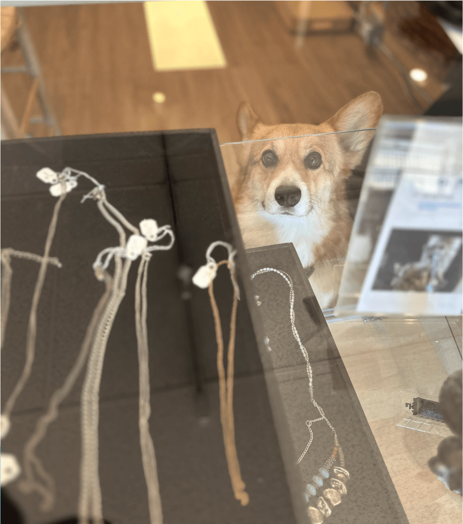 Dog at SPCA Benefit Shop Jewelry Counter