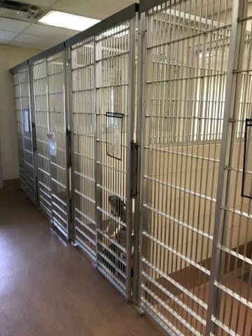 small breed dog kennels