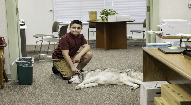 Student smiling and petting a dog