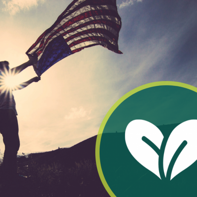 Protect Homeless Veterans With Your Tax Credit