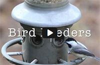 Feeders and Bird Seed with Houston Audubon