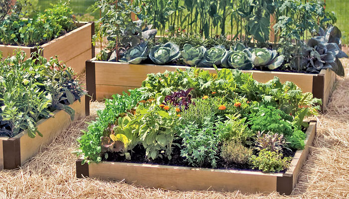 Planning your Planting: Square Foot Gardening