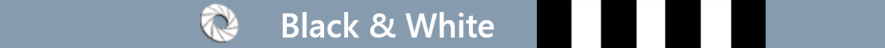 Sharp Black and White Bar