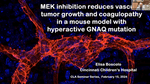 MEK Inhibition Reduces Vascular Tumor Growth and Coagulopathy in a Mouse Model with Hyperactive GNAQ Mutation