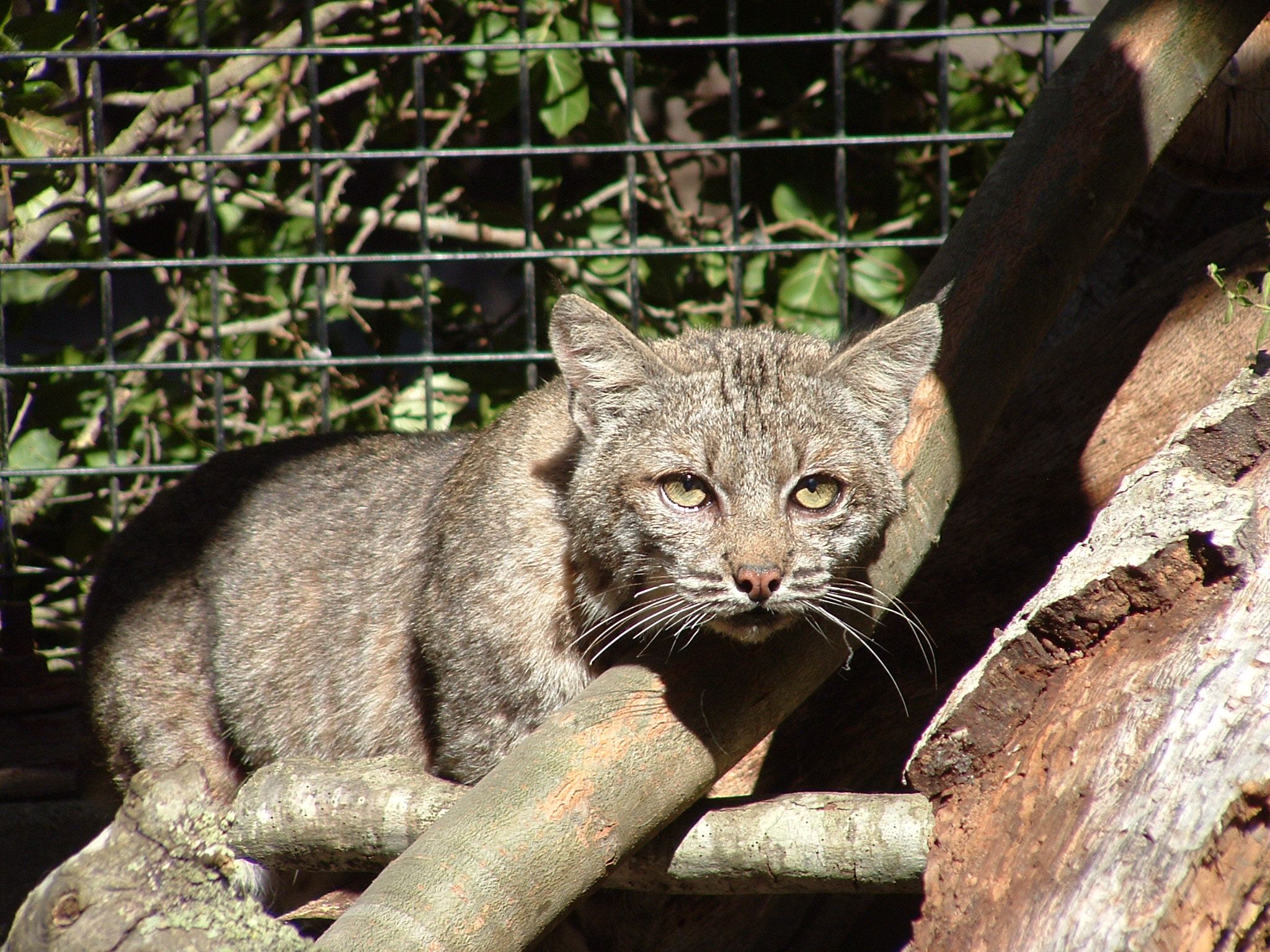 SPCA Wildlife Center