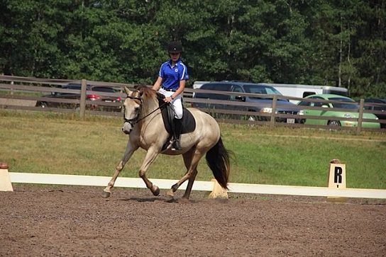Youth Rider McKayla Hohmann Awarded TDF Isler Fund Grant