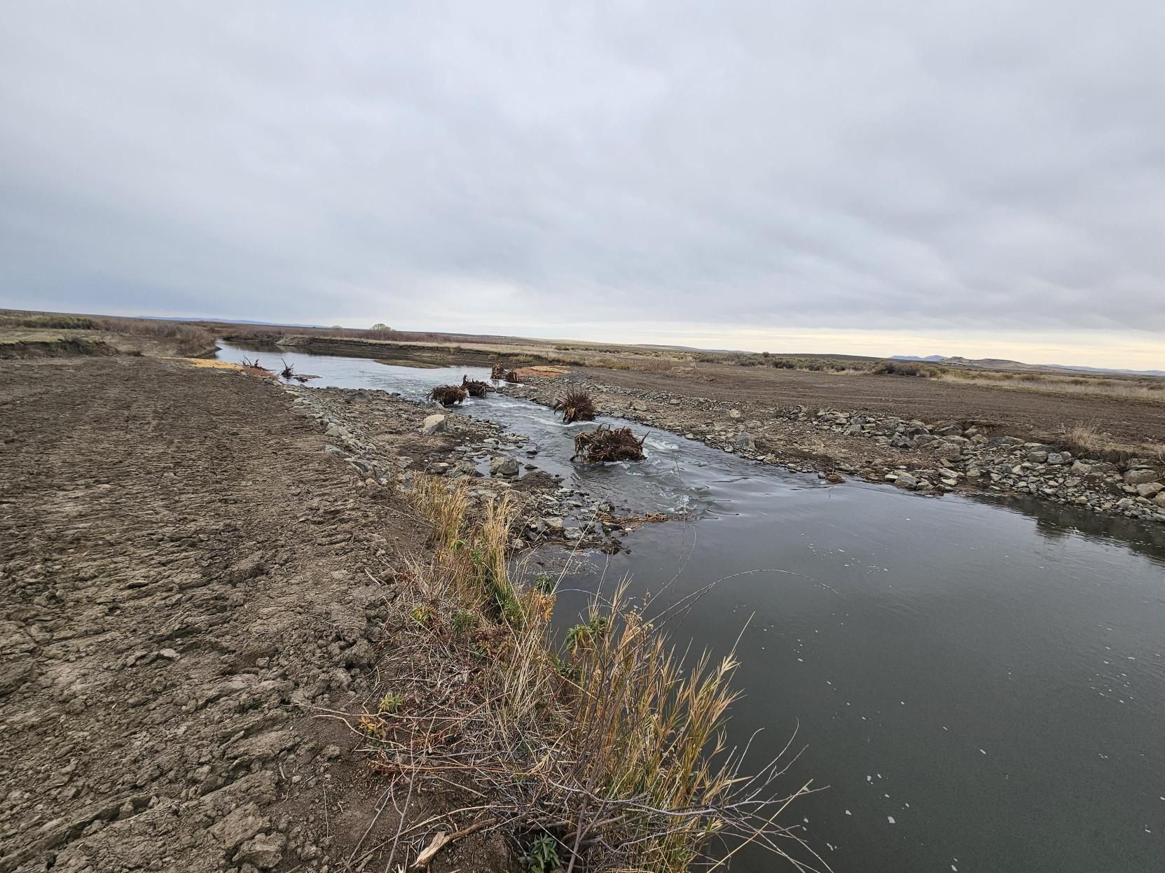 Collaborative Effort Saves Mussels and Fish During Dam Replacement