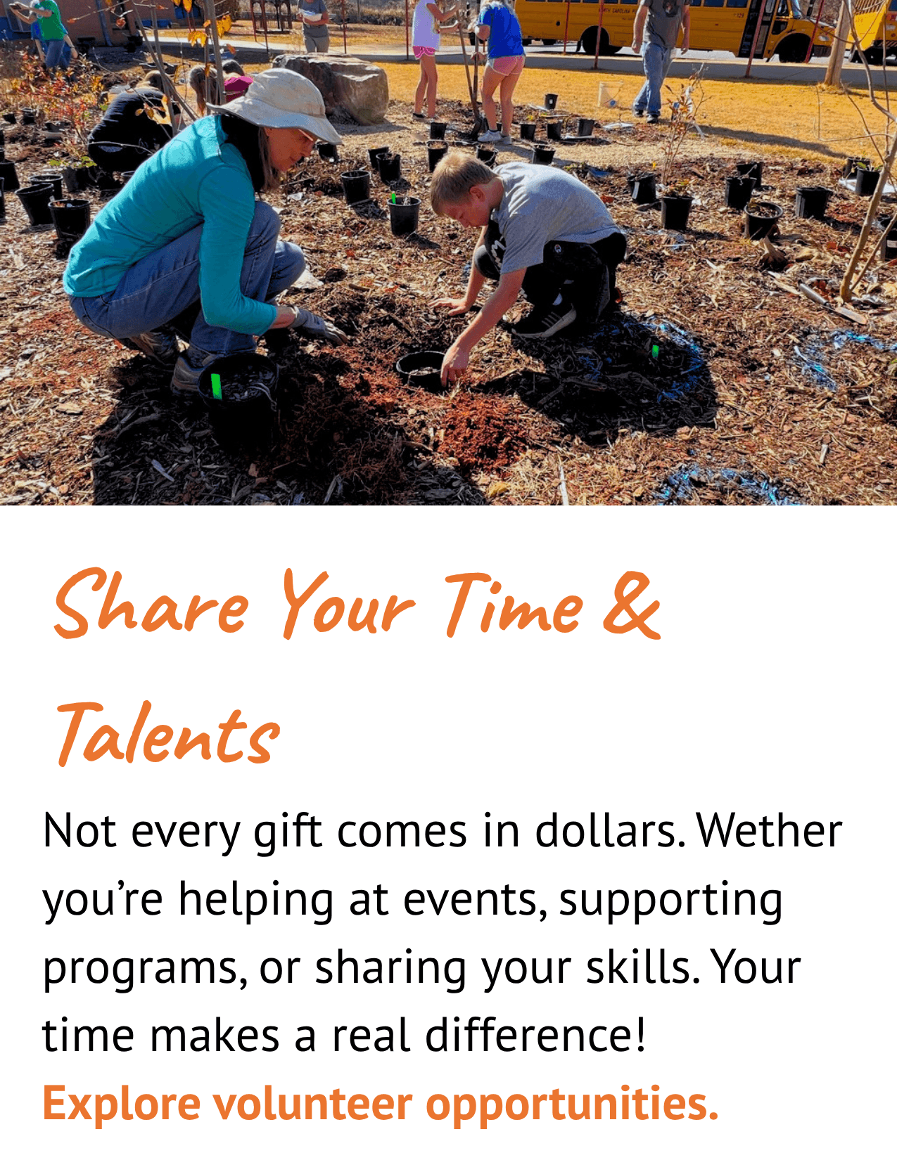 Volunteer Opportunities