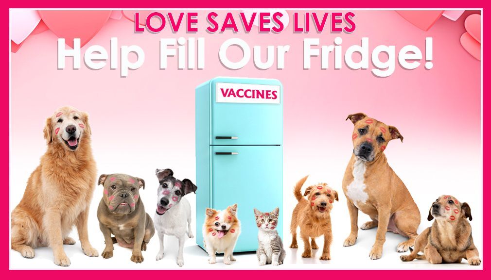 Fill the Fridge February 2026