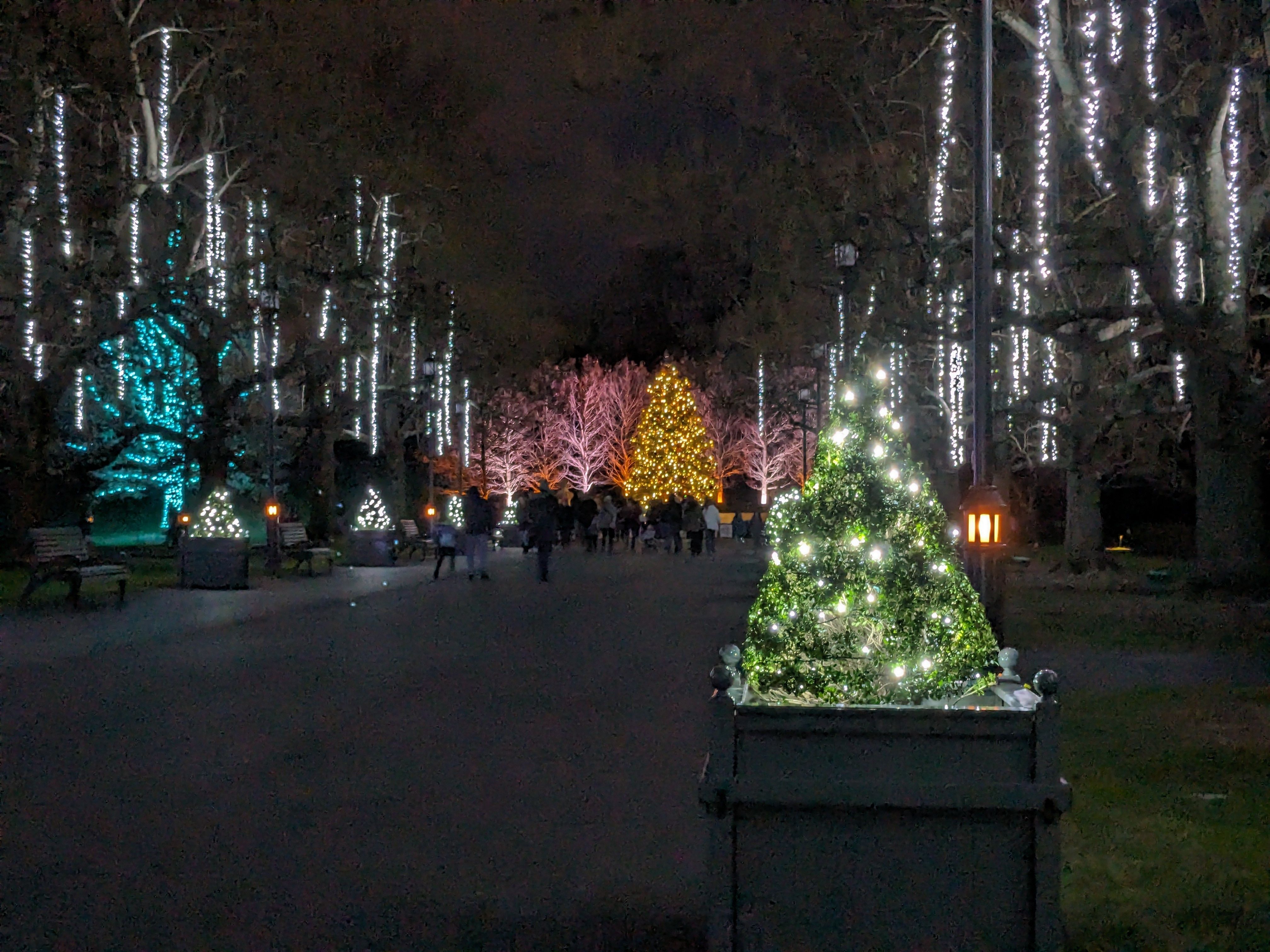 Longwood Gardens Holiday Lights: Monday, December 2