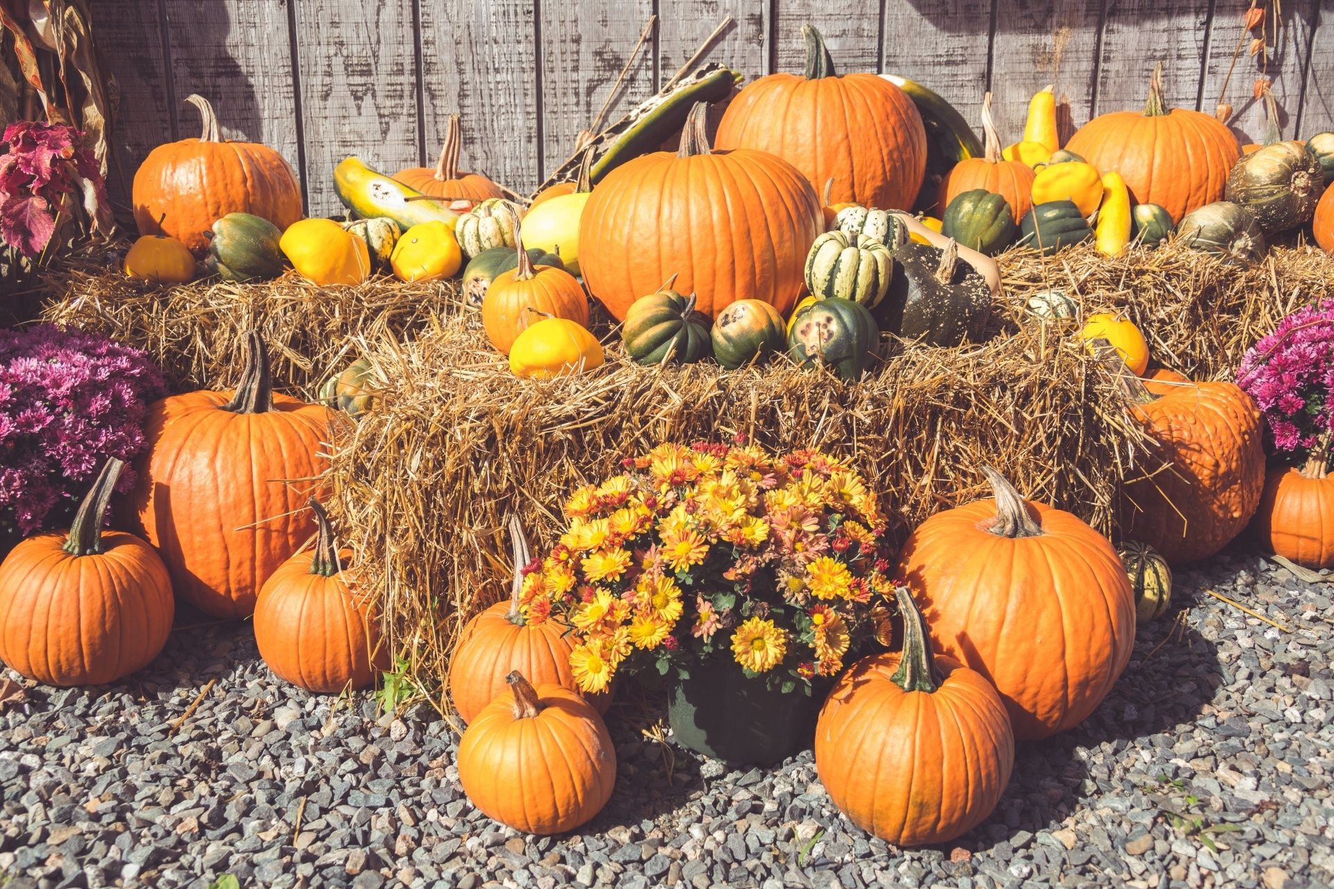 Join us for Fall Fun Oct 26- Nov 6